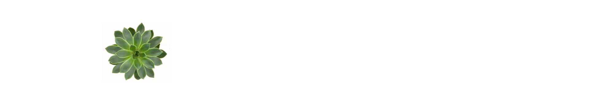 white wave bottom
