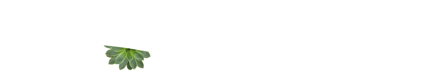 white wave bottom