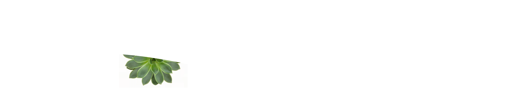 white wave bottom